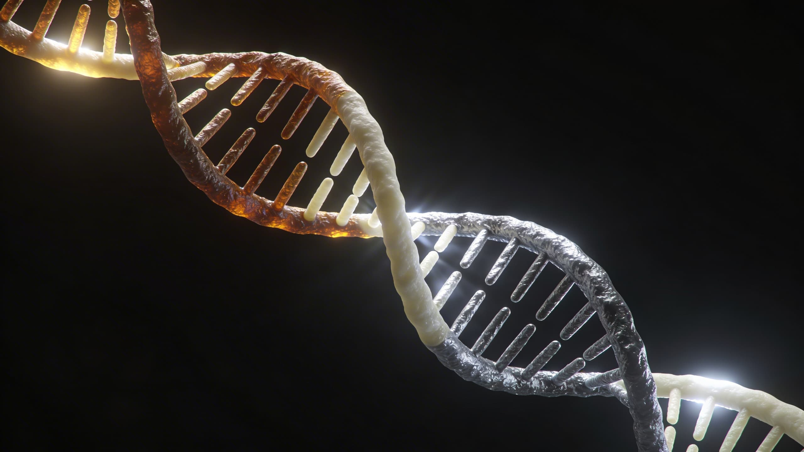 A DNA double helix representing the inseparable strands of web design and SEO